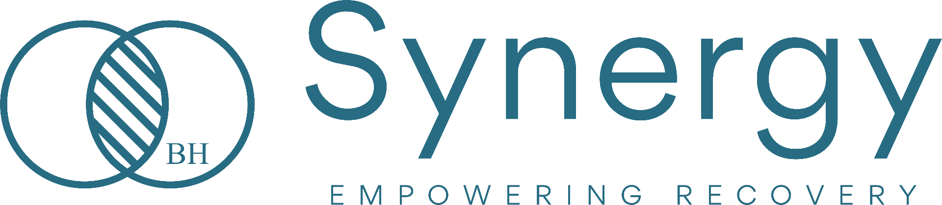 Synergy Empowering Recovery